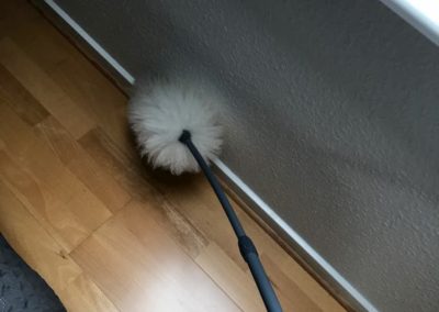VA-clean_Dusting