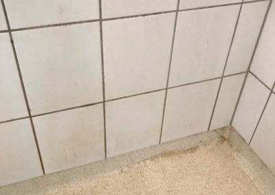 VA-clean_Dirty_Bathroom